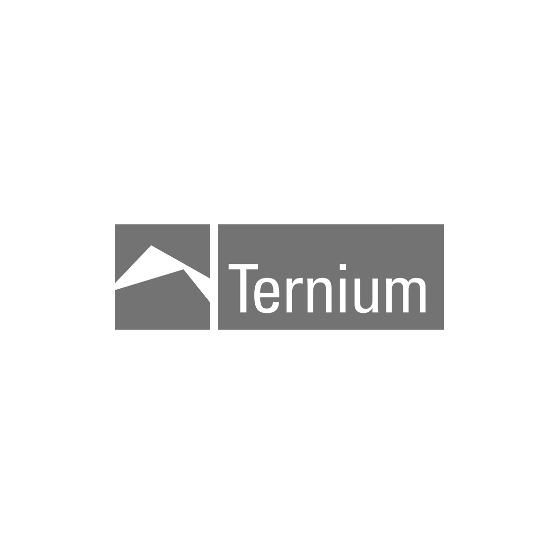 ternium-1-1100x1100